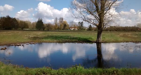 Overlooking Great Green Burgate