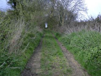 Country lane